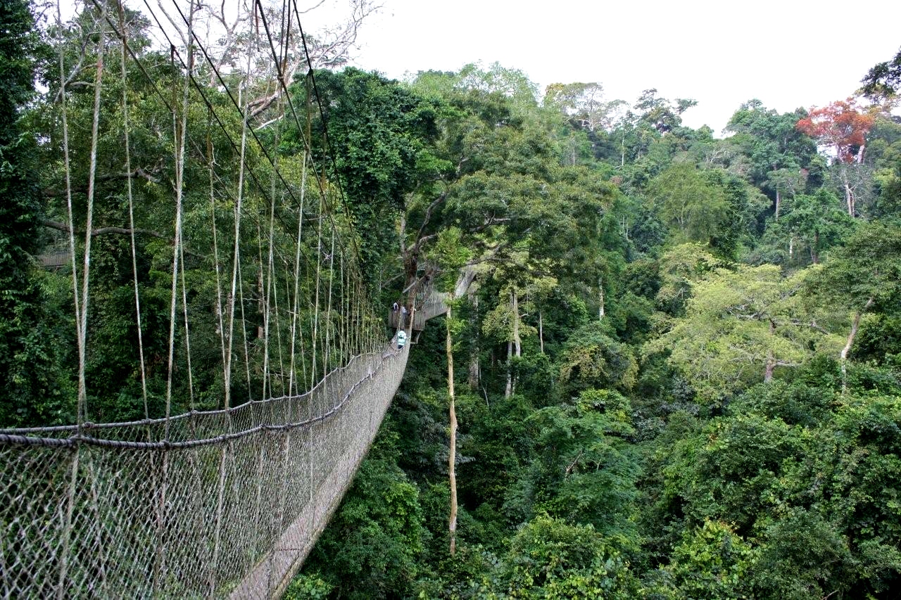 Kakum National Park - Ghana